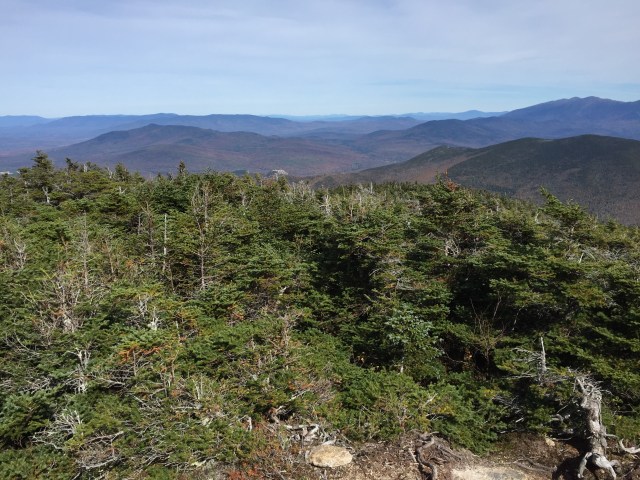 Pretty sweet view up here!