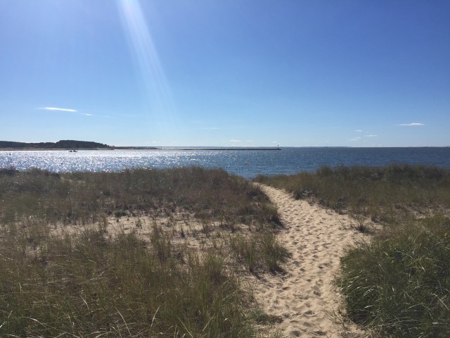 View from our parking spot #capecodlove