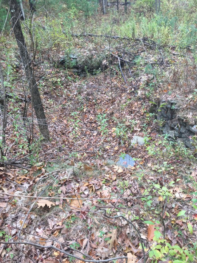 Foundation from the home of the brick factory owner, J.C. Richmond, 120 years ago