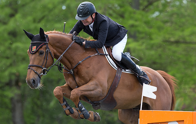 Photographie Eric KNOLL. Palaiseau 2014. CSI 2*. Jumping. Equestrian Event. Christian HERMON (FRA). PHEDRAS DE BLONDEL