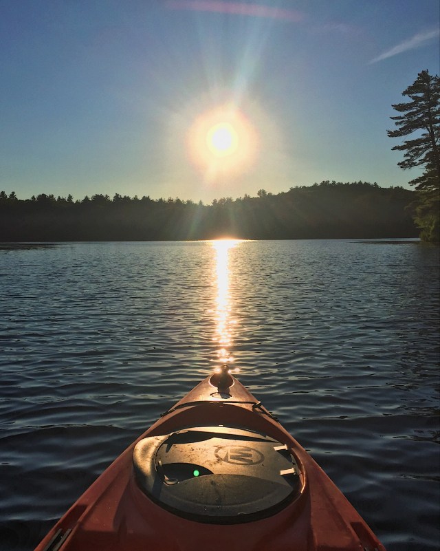 20C3BC9F-7EFD-403A-8099-A9688C55F162