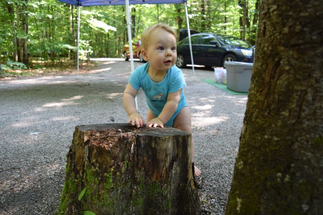 galleries-26b0f6b50914577756e18f663c69cd03-12492592194